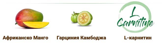 гарциния камбоджа манго L-карнитин съставки кокослимър