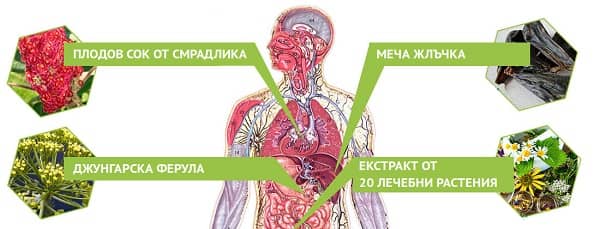 съставки на капките AntiToxin Nano