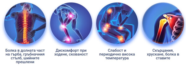 оптимове при болки в ставите