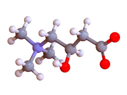 L-Карнитин 