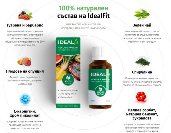 ideal fit съставки