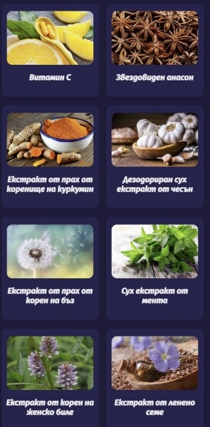 Състав на Sanixol